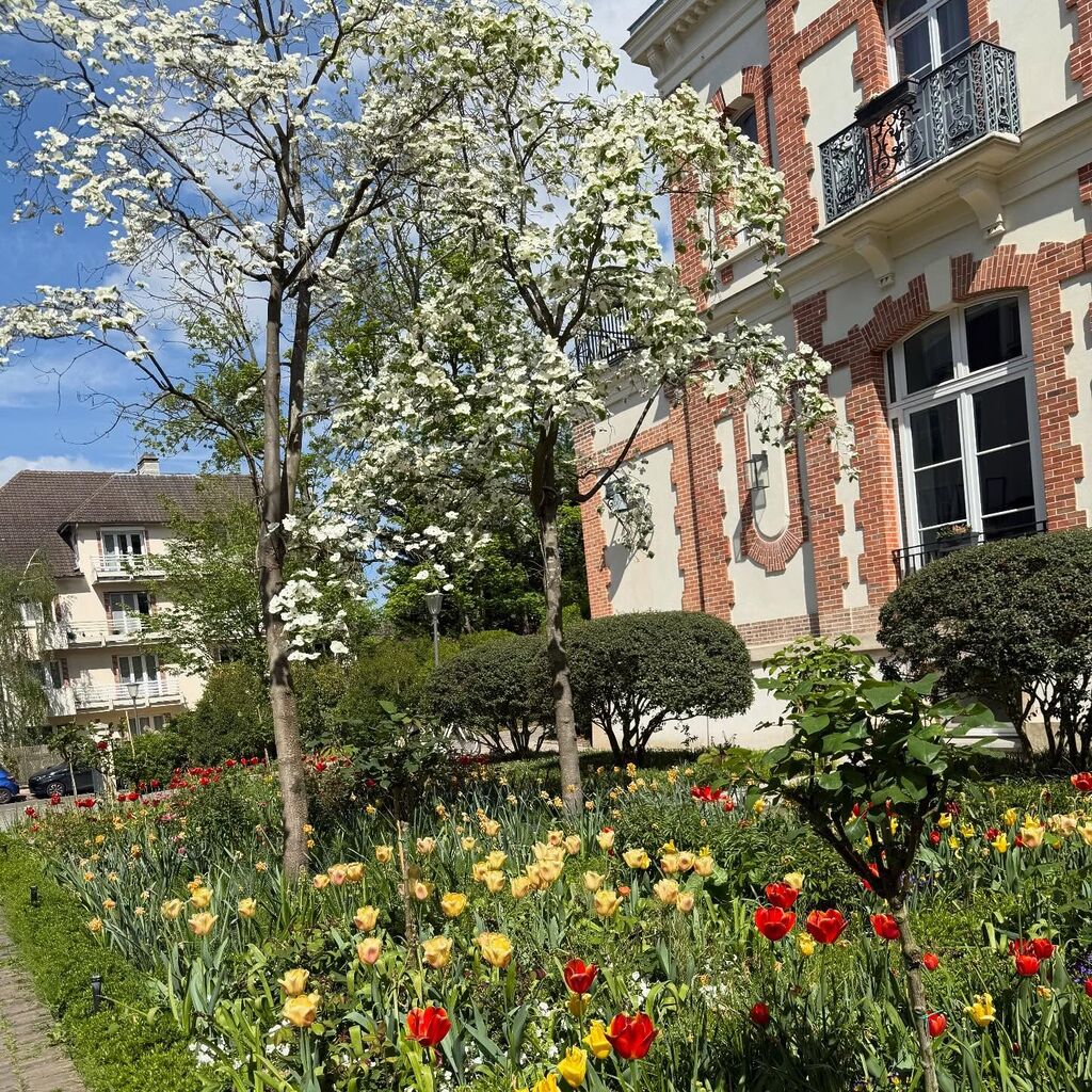 mission du jour formation a lutilisation de word et de photoshop elements a sevres 92 depannageinfor